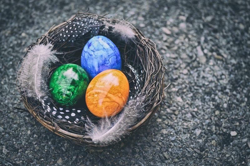 Fairy Nests