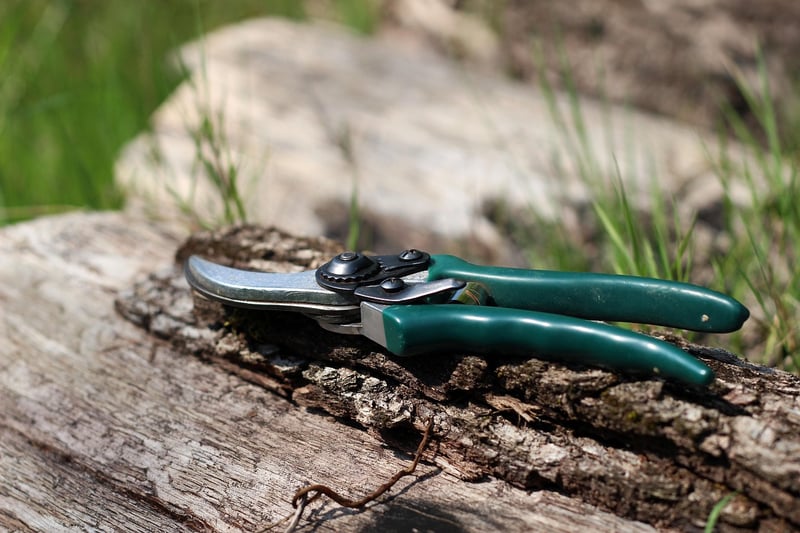 Dragonfly Pruning Shears